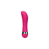 Multi-speed G spot butt plug anal erotic product. Adult sex toy for him or her.